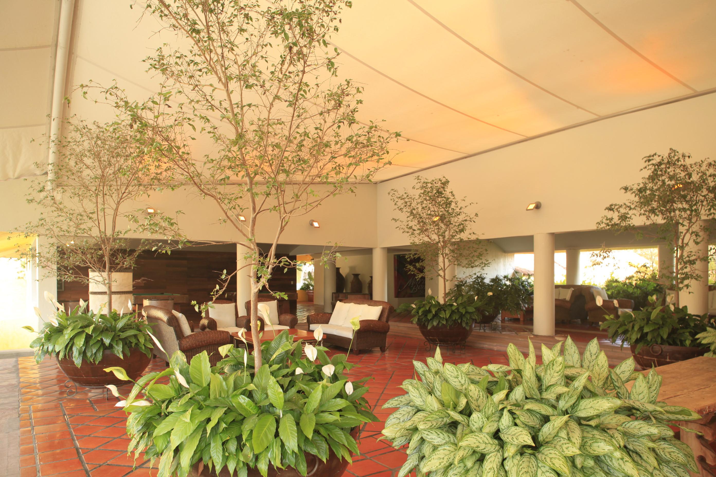 מלון אחיחיק Real De Chapala מראה חיצוני תמונה
